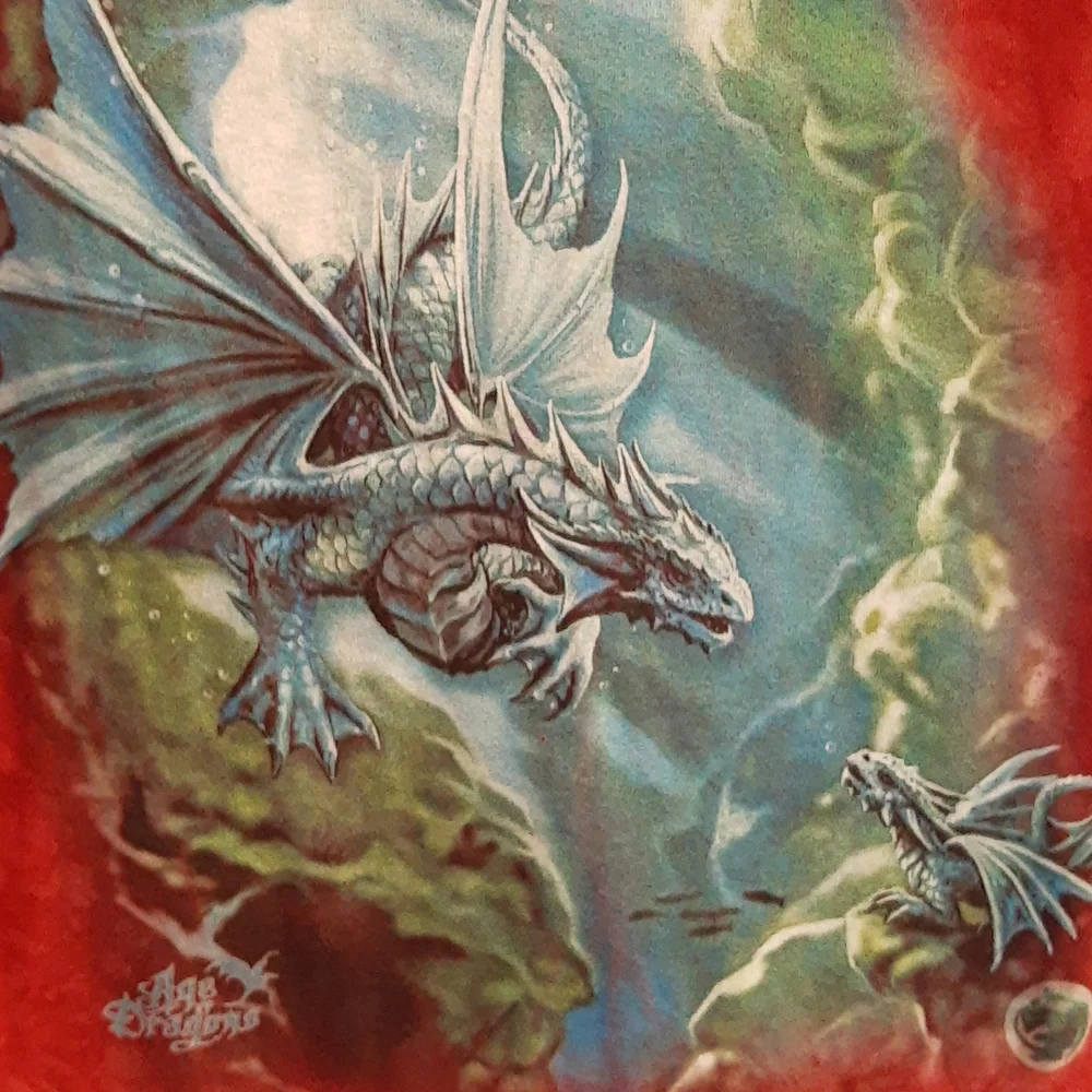 The Mountain Sea Dragons Age of Dragons 100% COTTON Graphic Tee Adult M RED - Picture 3 of 9